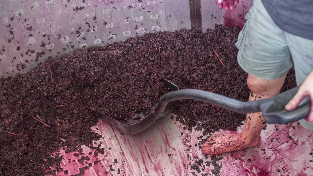 how wine is made