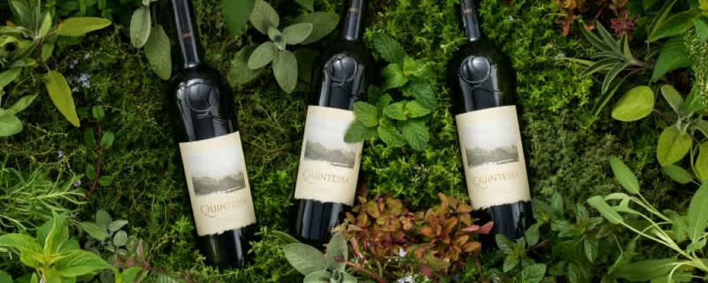 Best Online Wine Stores for Delivery in 2025