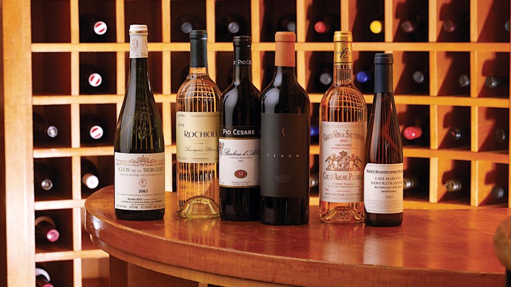 Beginner exploring wine bottles on a wooden rack in a California wine cellar