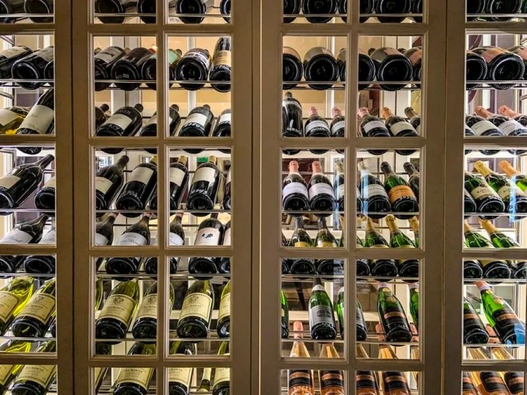 Person learning wine tasting notes while organizing bottles for a home wine collection